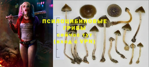a pvp Волоколамск